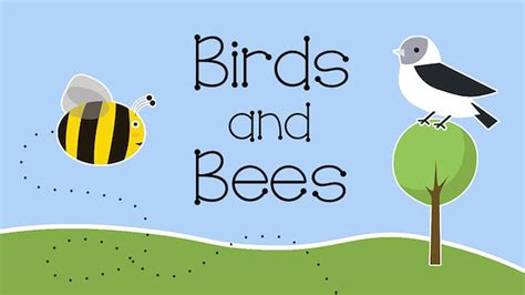 Birds And Bee Lessons As Pacific Field Trips Food Science Lessons - Food Science Lessons