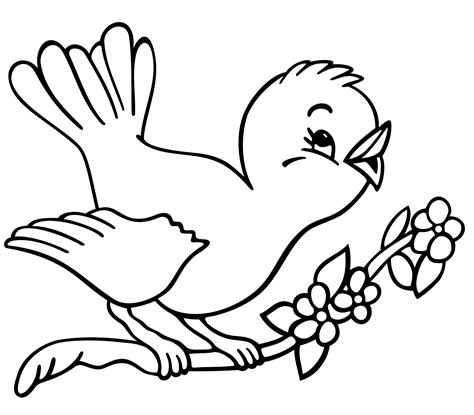 Birds Drawing For Colouring At Paintingvalley Com Explore Outline Pictures Of Birds For Colouring - Outline Pictures Of Birds For Colouring