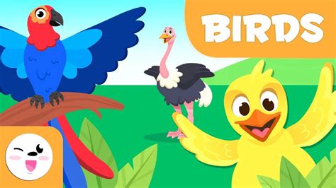 Birds For Kids Vertebrate Animals Natural Science For Parts Of Birds For Kindergarten - Parts Of Birds For Kindergarten