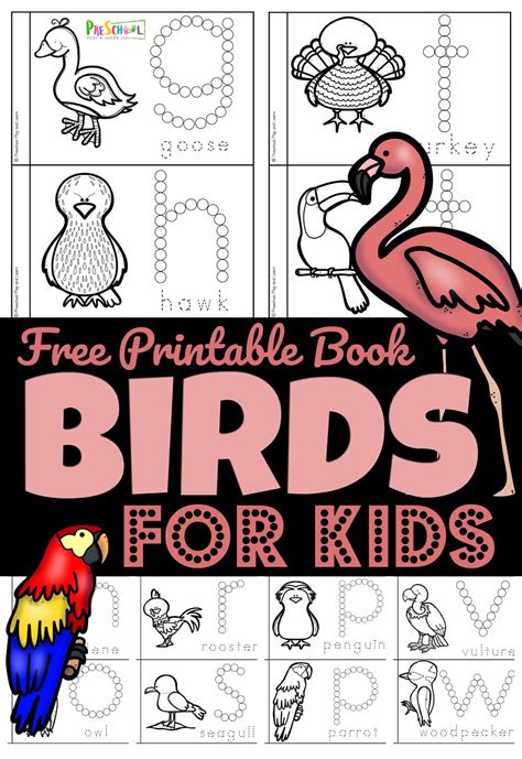 Birds For Preschoolers Printable Book Preschool Play And Preschool Printable Books For Kindergarten - Preschool Printable Books For Kindergarten