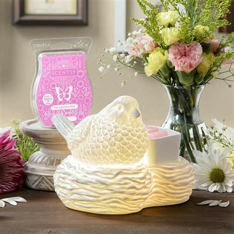 birds of a feather scentsy warmer- new in box eBay