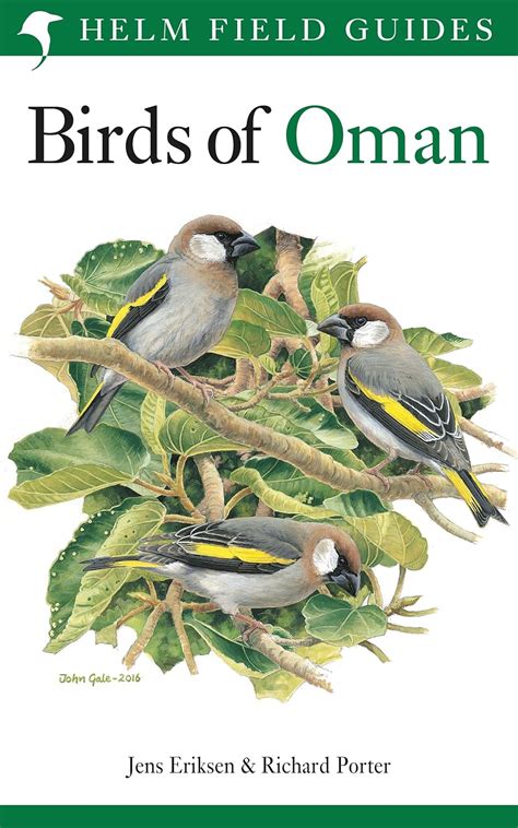 birds of oman helm field guides