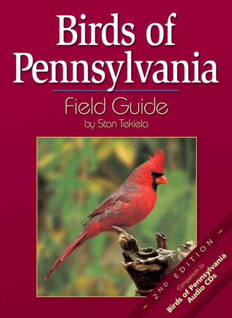 Birds Of Pennsylvania Field Guide Bird Identification Guides Pennsylvania State Bird Coloring Page - Pennsylvania State Bird Coloring Page