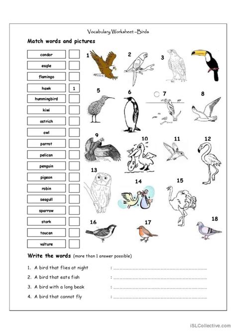 Birds Worksheets Esl Vocabulary Matching Esl Vault Worksheet On Birds - Worksheet On Birds
