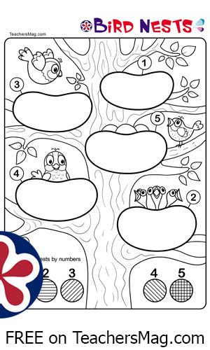 Birds Worksheets For Kindergarten Teachersmag Com Worksheet On Birds - Worksheet On Birds