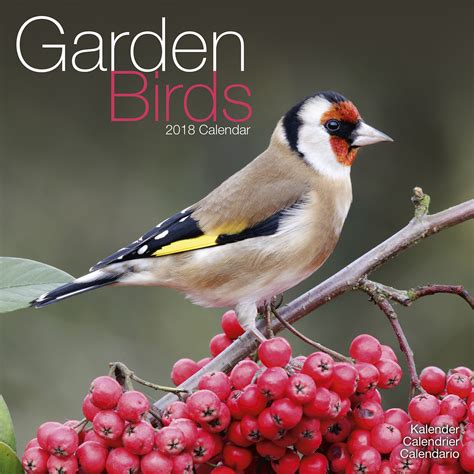 Download Birds In The Garden 2018 Calendar Free Bonus Download 12 Images Desktop Wallpaper 