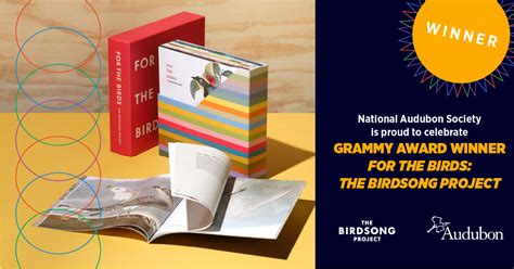 Birdy Boxed Set