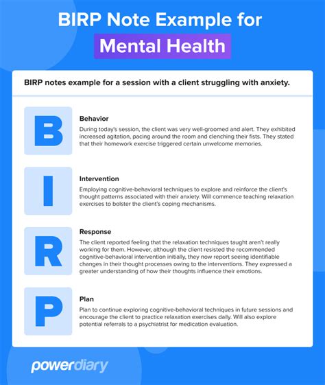 Birp Note Example Mental Health