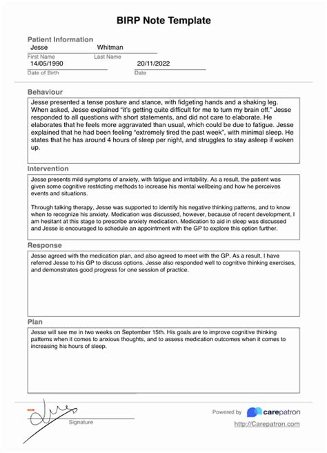 Birp Note Intervention Examples