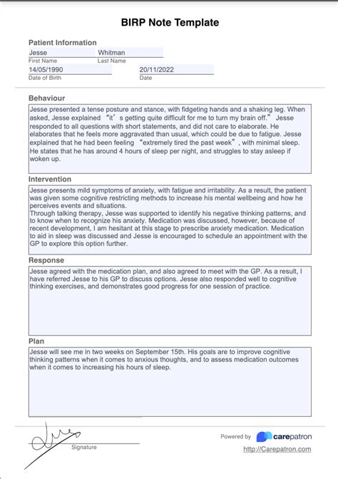 Birp Notes Examples