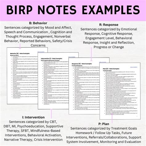 Download Birp Note Intervention Examples 