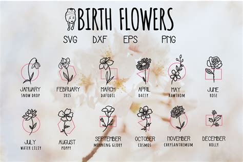 Birth Flowers Svgs Tattoo Shirt Tumbler Design Bundles Birth Month Flowers Svg - Birth Month Flowers Svg