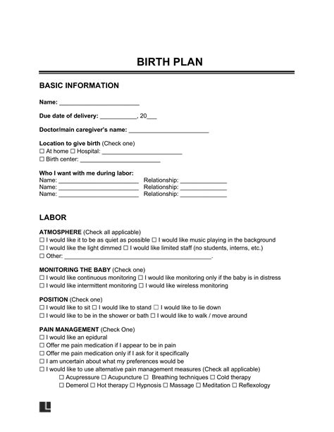 Read Online Birth Plan Template Word Document 