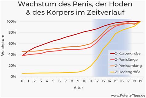 bis wie viel jahren wachsen männer