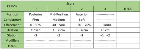 Bishop Score Calculator