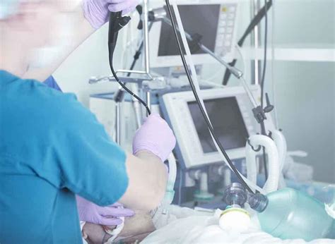 bitkisel hayat Nedir Ne Demek.