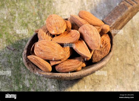 bitter almonds