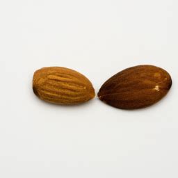 bittermandel vs mandel