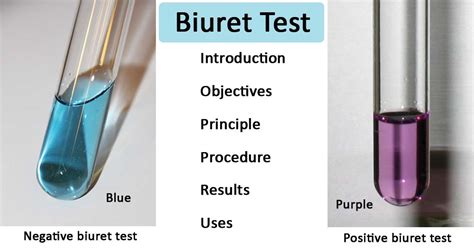 Biuret Reaction