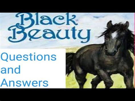 Black Beauty Questions And Answers   10 Black Creators We Love In The Beauty - Black Beauty Questions And Answers