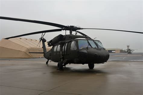 Black Black Hawk