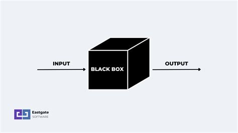 black box ai