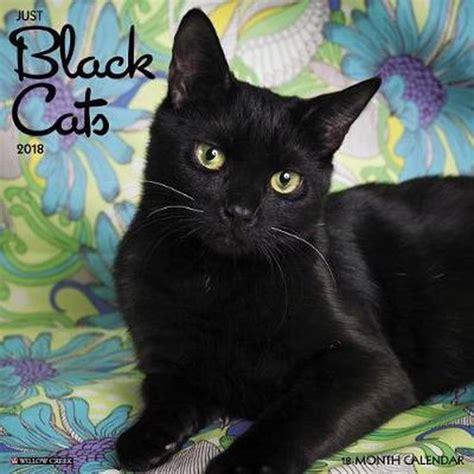 Black Cats 2018 12 X 12 Inch Monthly Square Wall Calendar With Foil Stamped Cover, Animals Cats