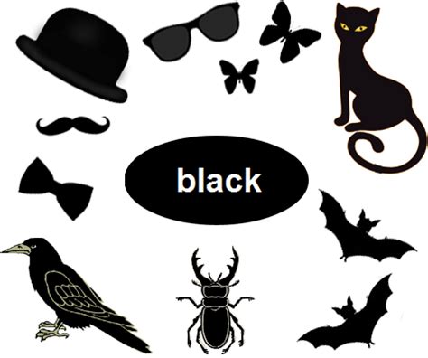 Black Colour Objects For Preschool   Colors Learning For Kids Apk Game Free Download - Black Colour Objects For Preschool