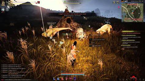 black desert nude mod