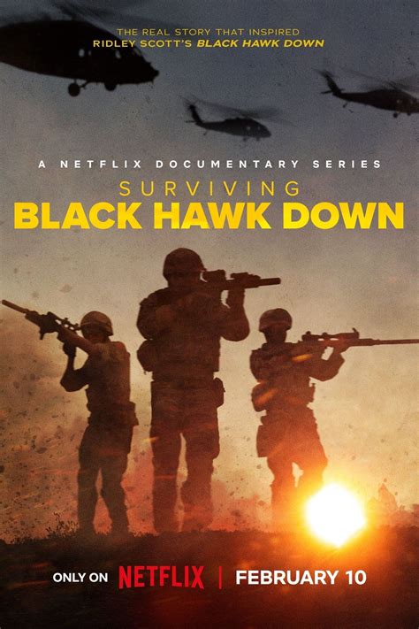 Black Hawk Down Summary