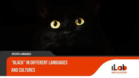 Black In Different Languages