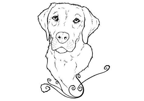 Black Lab Coloring Pages Free Amp Printable Black Lab Coloring Page - Black Lab Coloring Page