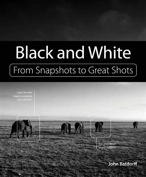 Full Download Black And White From Snapshots To Great Shots 