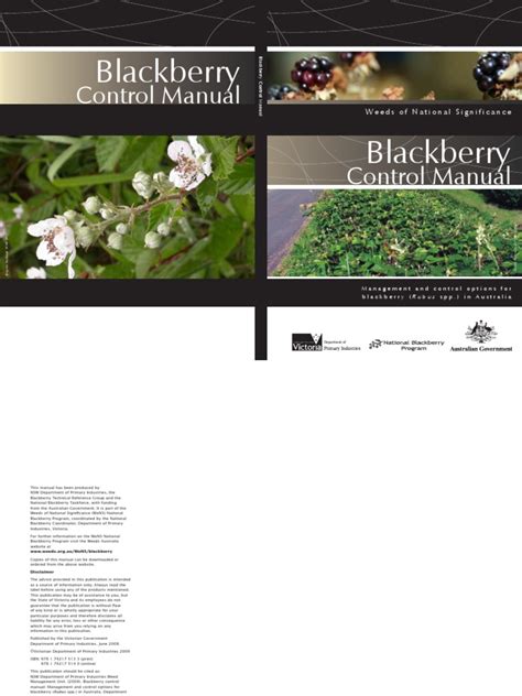 Blackberry Manual Navigation