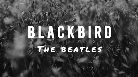 Blackbird Singing Beatles