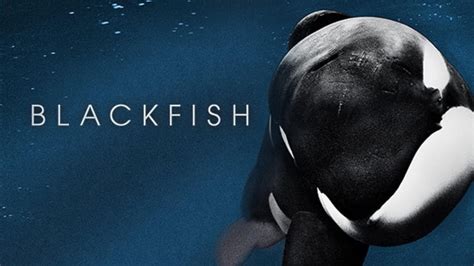 Blackfish 2013 Documentary