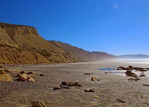 blacks on nude beach
