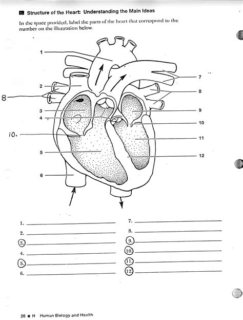 Blank Heart Diagram Labeling Quiz Online Heart Diagram Blank Worksheet - Heart Diagram Blank Worksheet