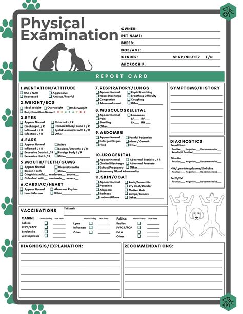 Blank Veterinary Physcial Exam Forms