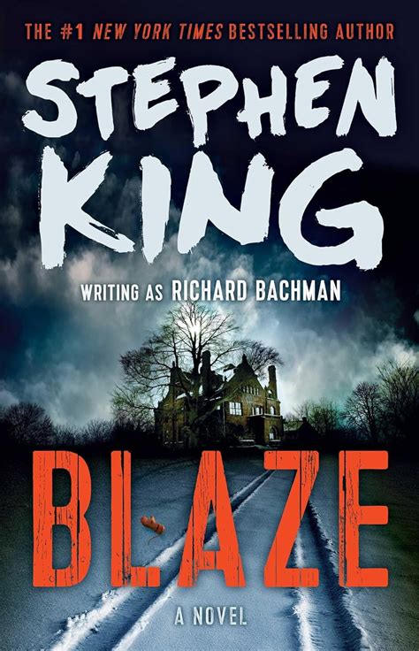 Blaze A Novel