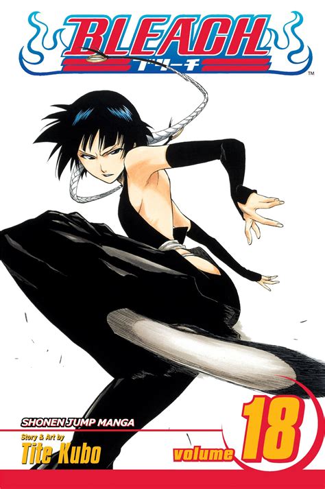 Bleach Vol 