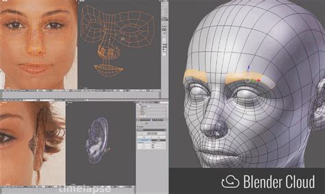 blender 3d tutorials for beginners