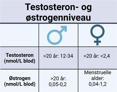 blir man  utmattad  från testosteron
