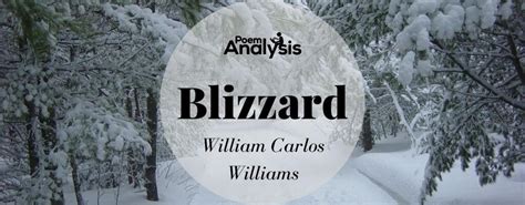 blizzard william carlos williams analysis