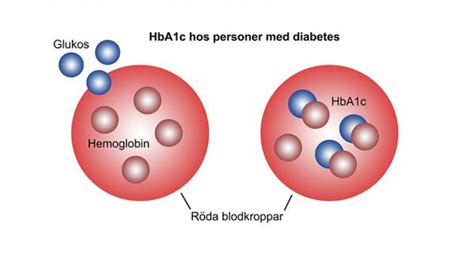 blodprov hba1c