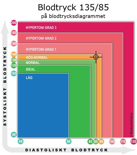 blodtryck 135 85