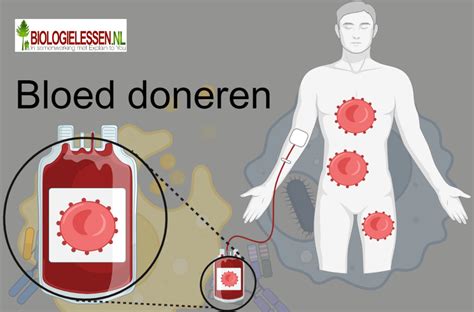 bloed doneren