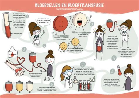 bloedarmoede bloedtransfusie