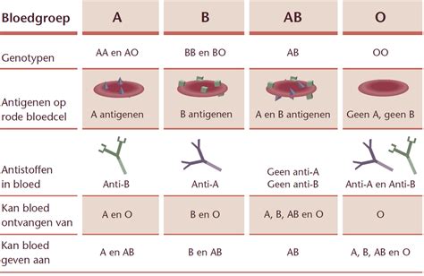 bloedgroepen