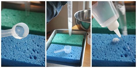 Blog Archives Discovery Express Sponge Absorption Science Experiment - Sponge Absorption Science Experiment